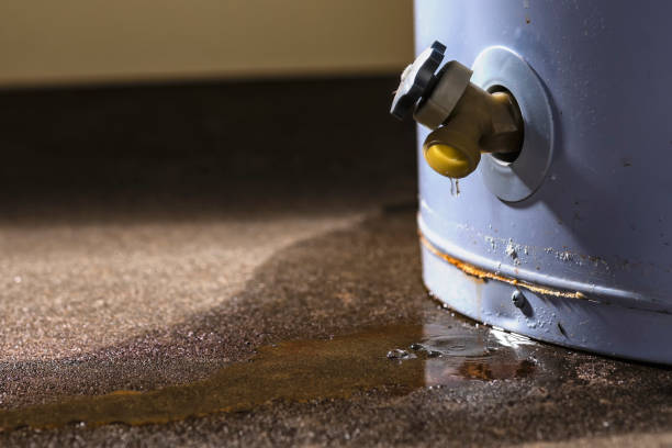 Best Mold removal after water damage  in Lightstreet, PA
