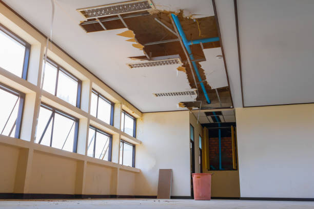 Best 24-hour water damage restoration  in Lightstreet, PA