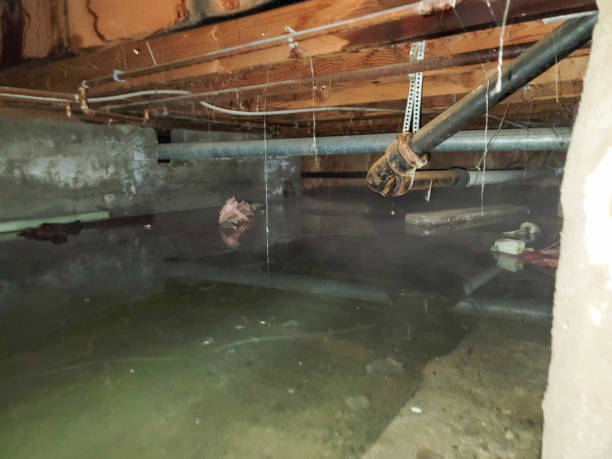 Carpet water damage restoration in PA