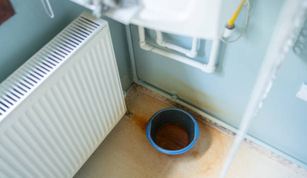 Best Carpet water damage restoration  in Lightstreet, PA