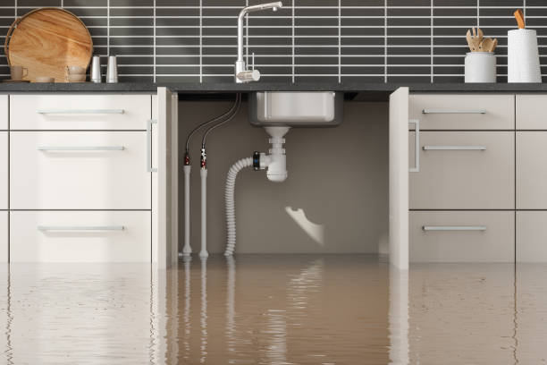 Best Residential water damage restoration  in Lightstreet, PA