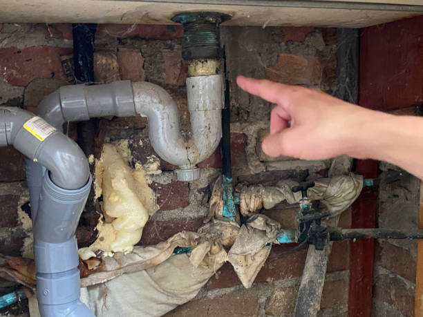 Best Flood damage cleanup  in Lightstreet, PA