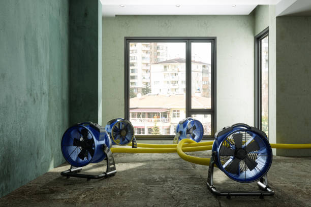 Best Professional water damage repair  in Lightstreet, PA