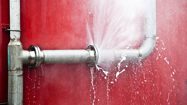 Best Water damage cleanup near me  in Lightstreet, PA